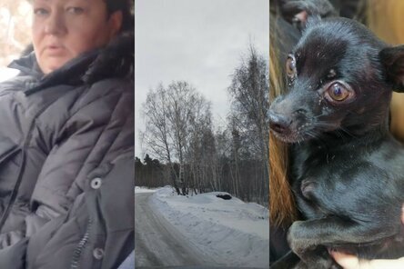 Из открытых источников