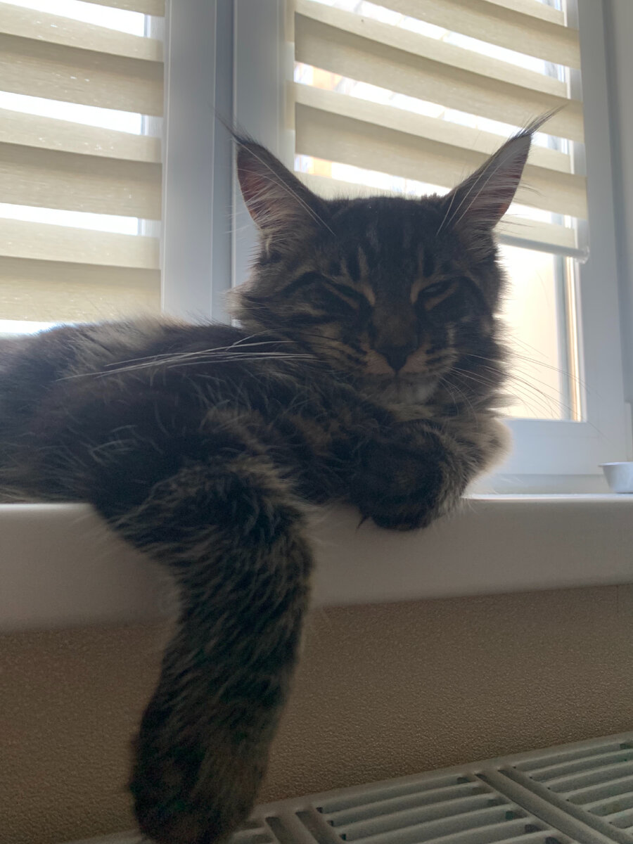 Расслабленный Танос.