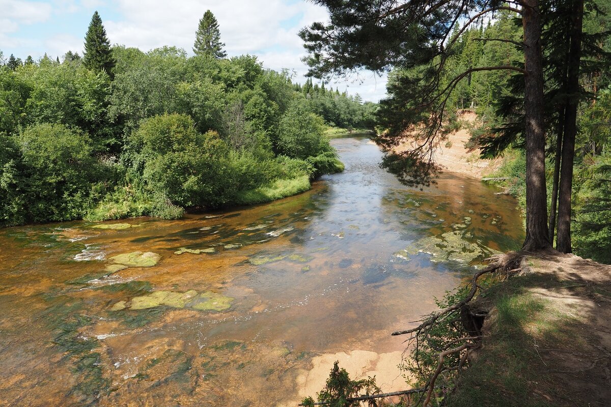 На полу в раю может быть только самое вкусное.