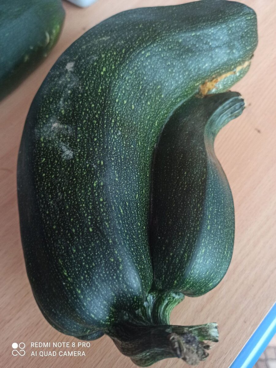 �������� ��������