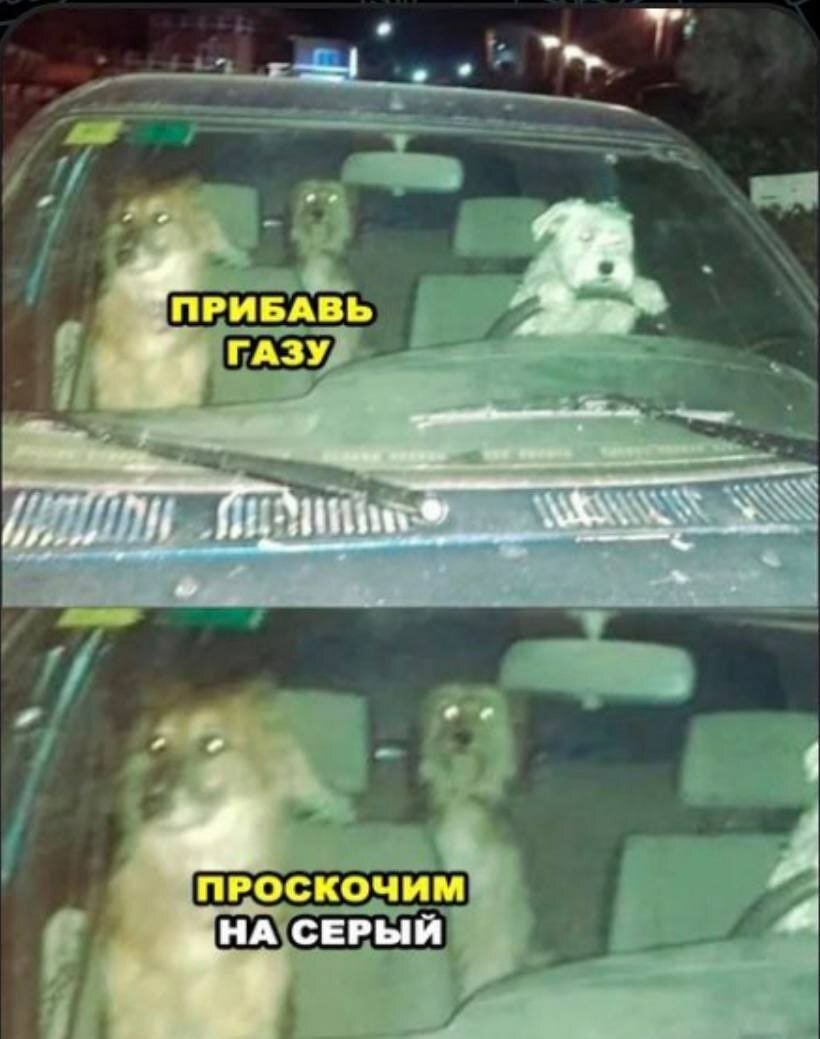 Мы действуем адекватно, если наши мысли соответствуют реальности