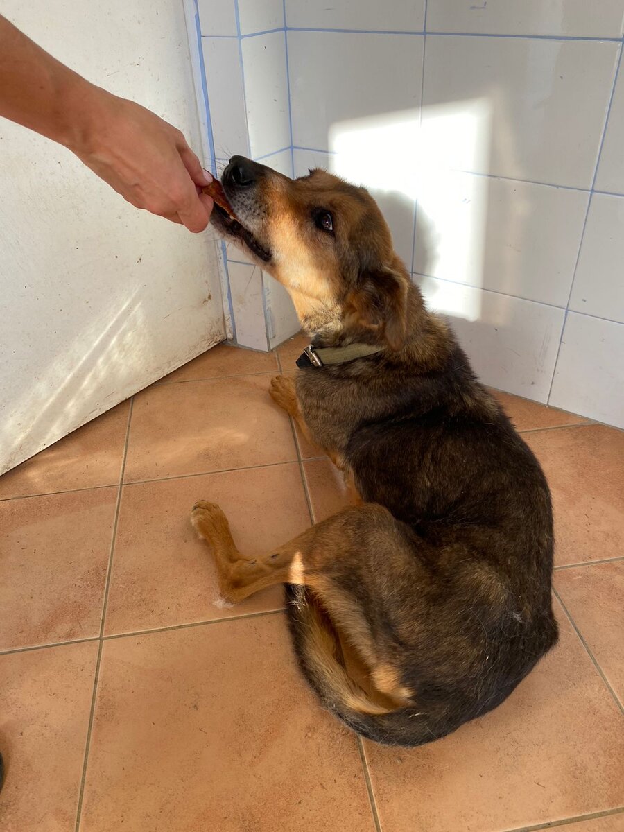 Ярик получает лакомство