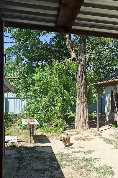 Фото автора