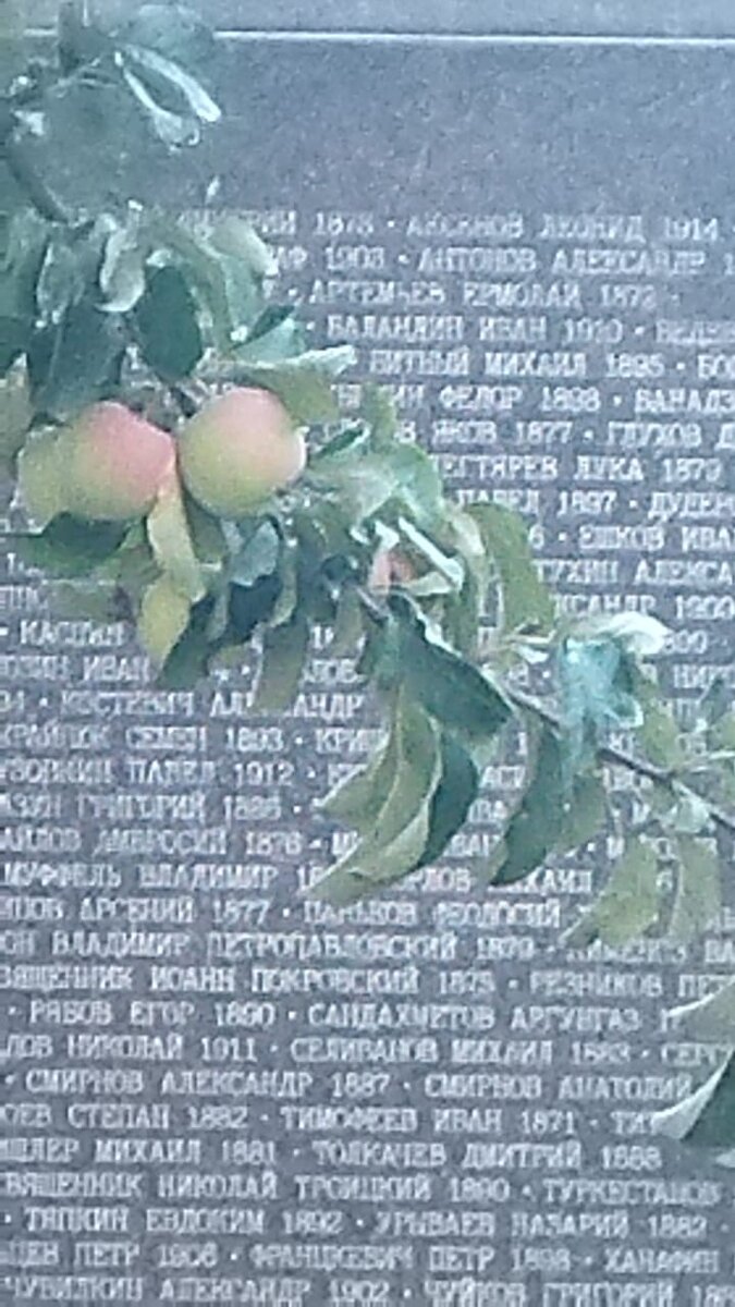 Там чудные яблони... Так много... Жимолость уже завялилась на ветках... Такая красота, столько любви и заботы вложено в этот клочок земли. И церковка деревянная. Такая грустная красота и благолепие. Даже спокойствие. Наверное, потому, что помним.