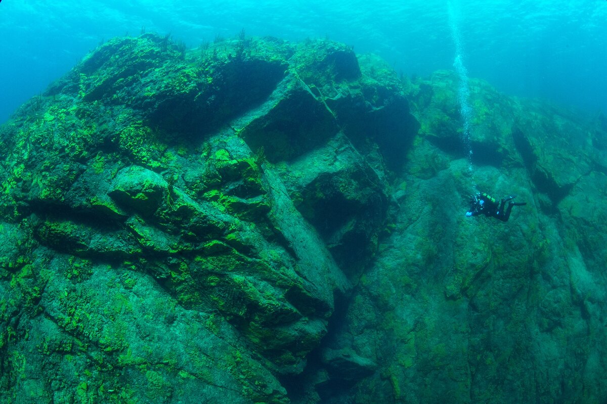 Берингово море дно