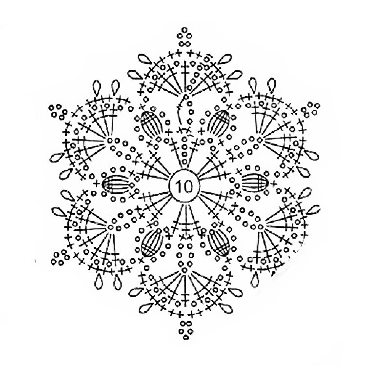 ����� 06