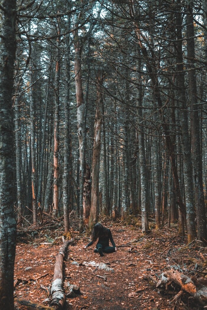 Изображение взято с бесплатного фотостока https://unsplash.com указание автора не требуется