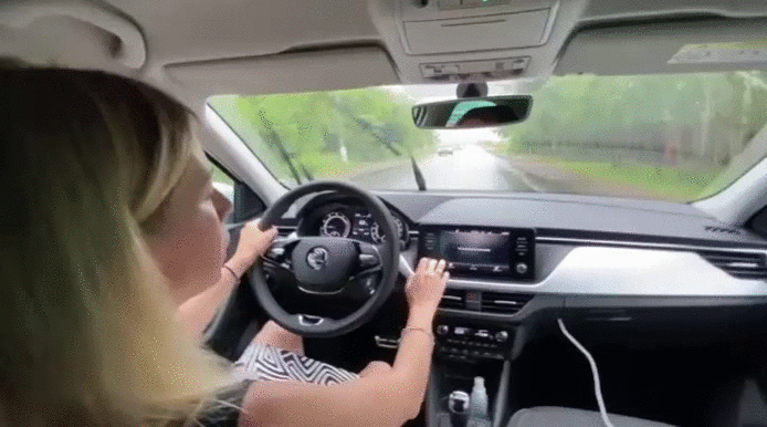 Мультимедиа и приборная панель Skoda Rapid. Лиса Рулит