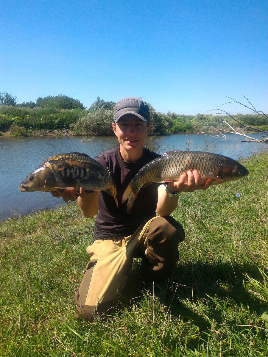 Карп и белый амур по 1,5 кг