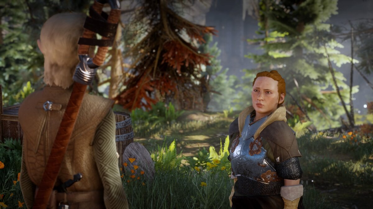 Dragon Age: Inquisition Техникум для инквизиторов | GamesForPlayers | Дзен