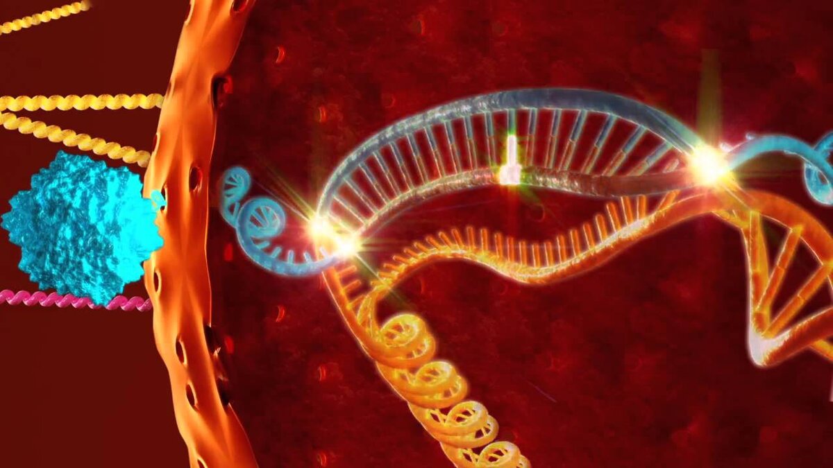 Взято из просторов интернета 