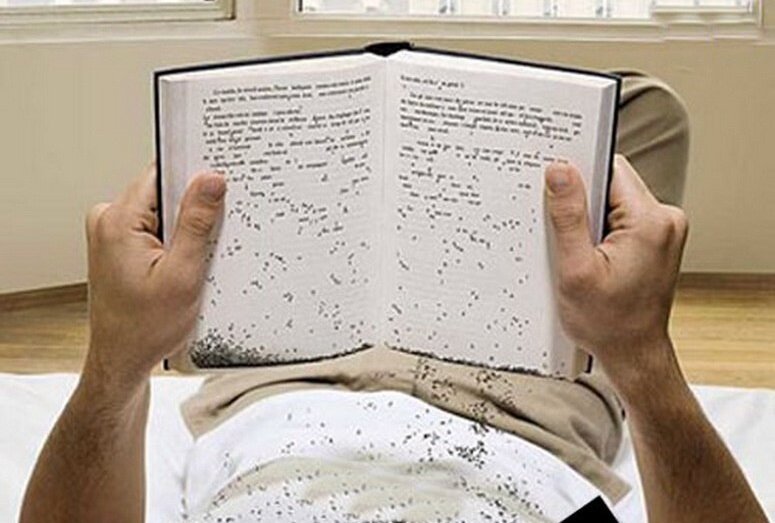 Фото: https://ru.publika.md/issledovanie-pisa-bolshinstvo-15-letnikh-shkolnikov-ne-ponimayut-chto-chitayut_2191368.html