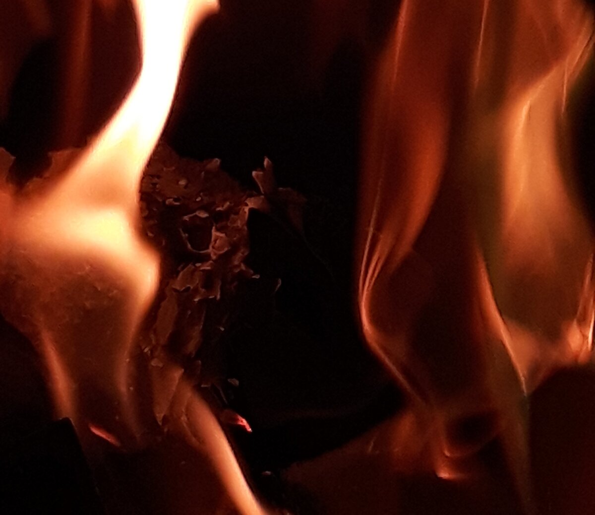 Рэй брэдбери про егэ. Жечь было наслаждением какое то особое. Жечь было наслаждением какое то особое. 451 градус по фаренгейту арты. Рэй брэдбери 451 градус по фаренгейту эстетика.