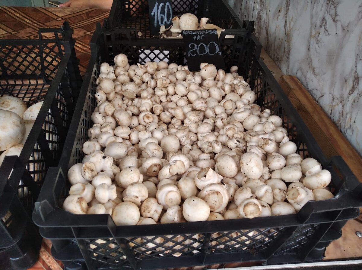 сколько готовятся грибы шампиньоны