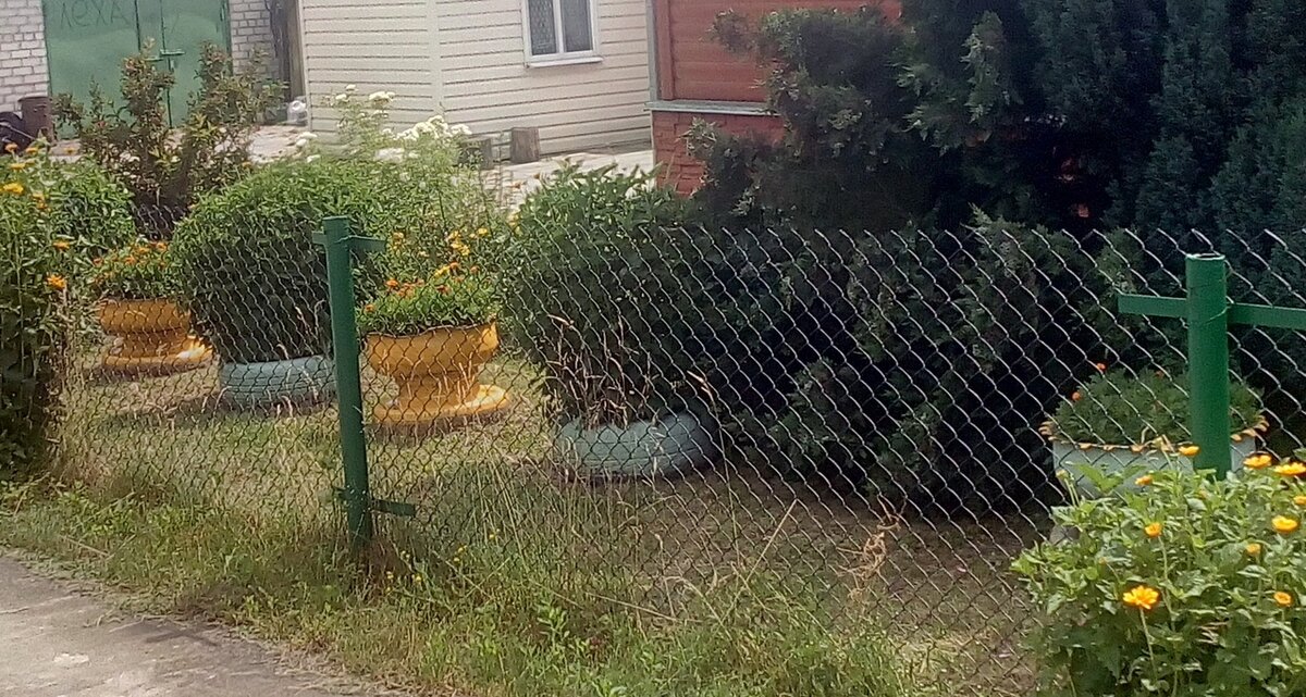 Клумбы-вазы из колеса. Фото автора