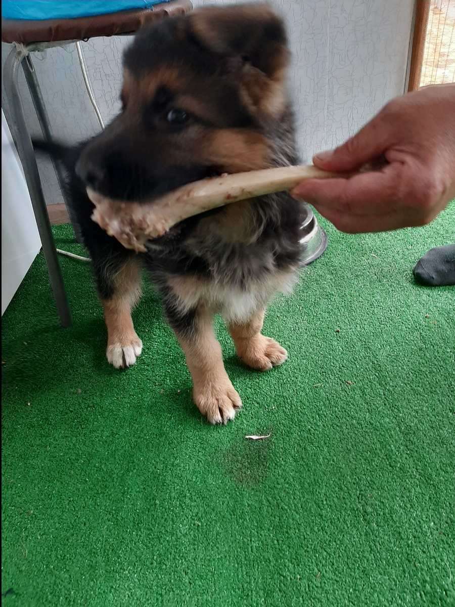 Фото автора.