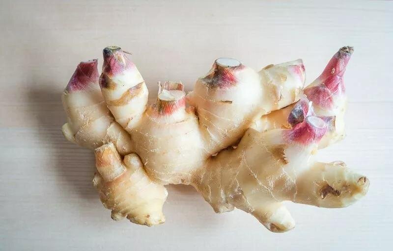 Молодой имбирь