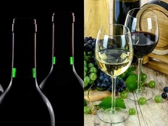 Презентация вина. Приложение вивино. Wine & co солярис. Вино и еда. Подбор вин.