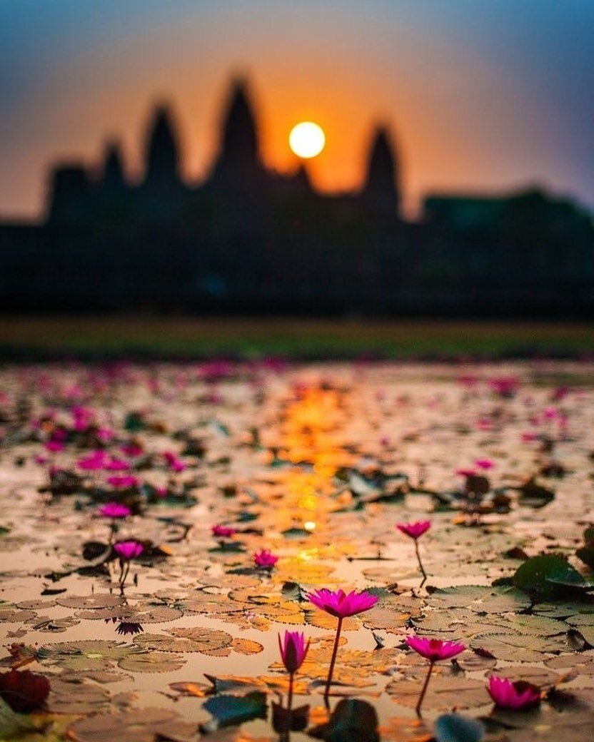 «Вы просите Меня, и я отвечу Вашим мольбам». Коран, 40:60