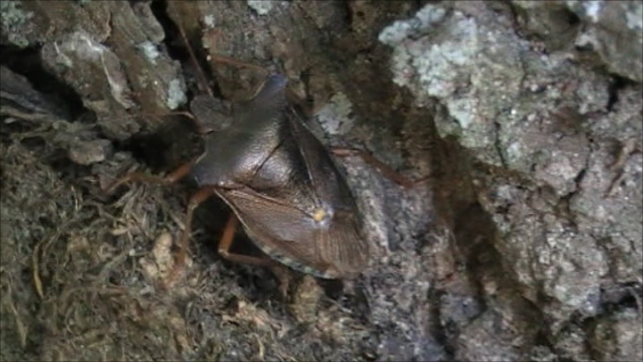 Моя фотография