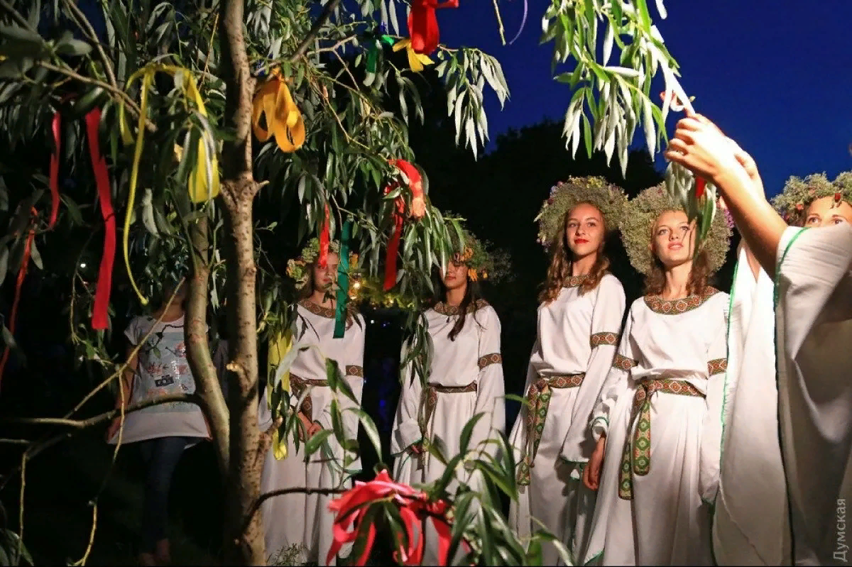 фото - https://pbs.twimg.com/media/Dhg2CxPW4AYuCd5.jpg