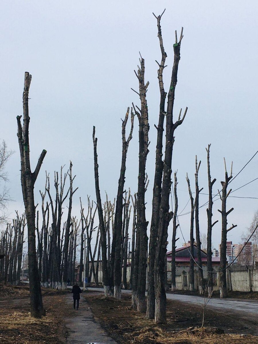 Фото подписчика «Иркутского блога»