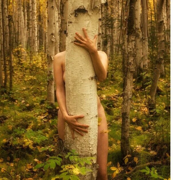 фото из интернета .