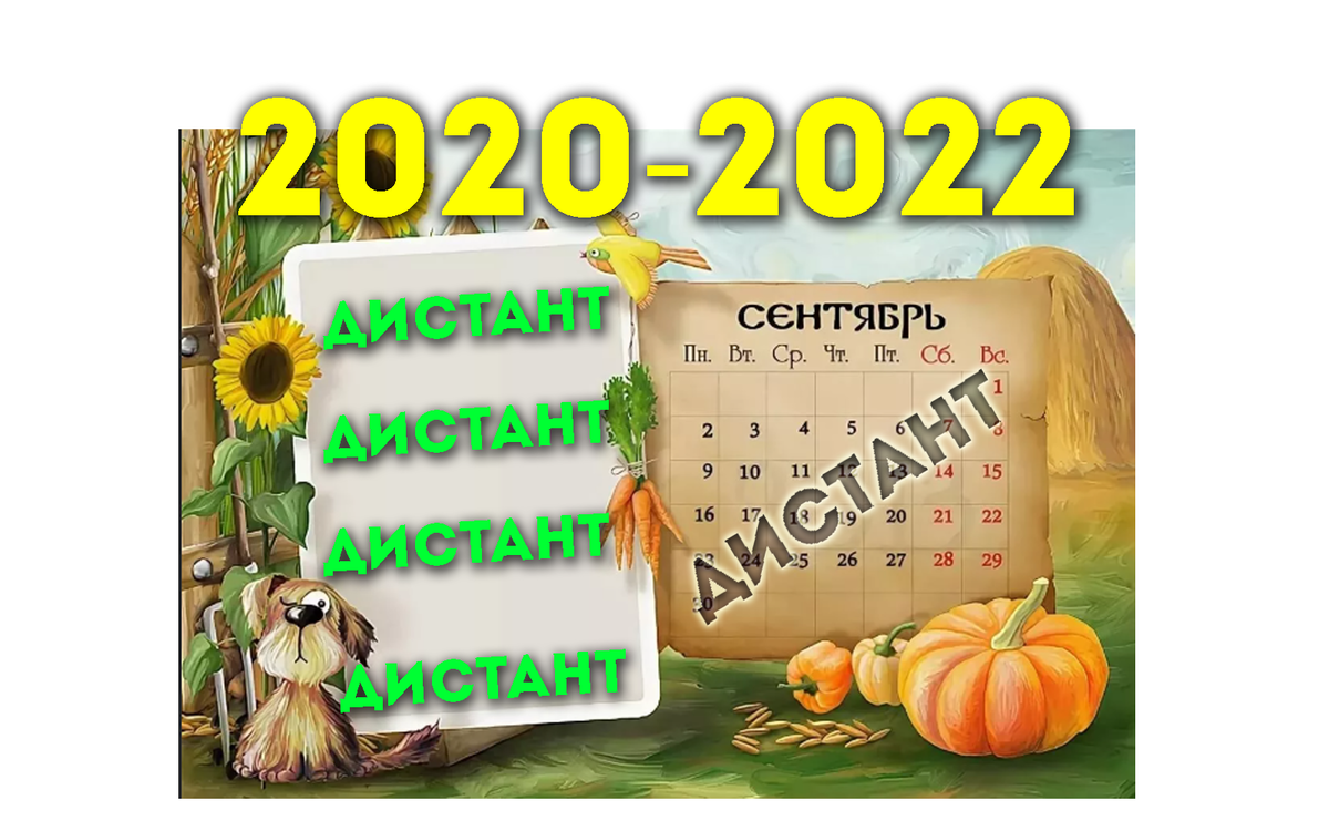 Эта картинка с июня оказалась пророческой для трёх классов у нас