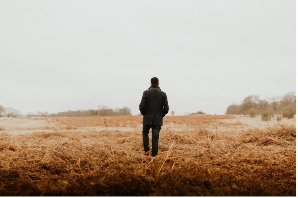 Картинка загружена с сайта unsplash.com