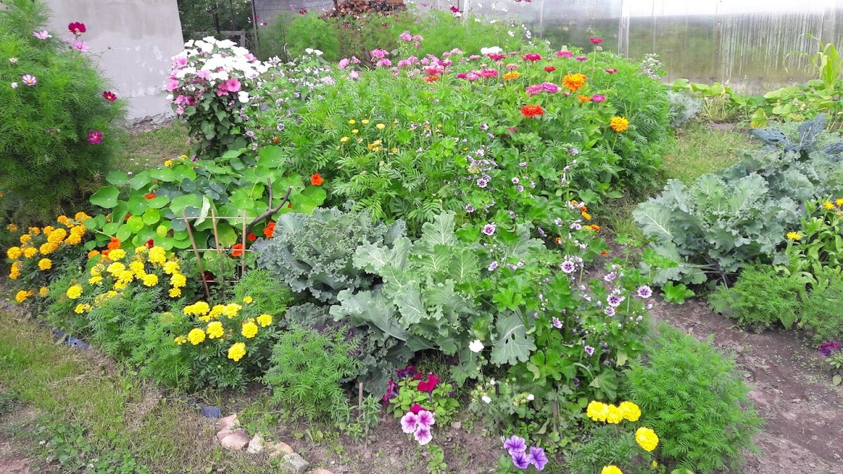 Немного прошедшего лета, фото автора