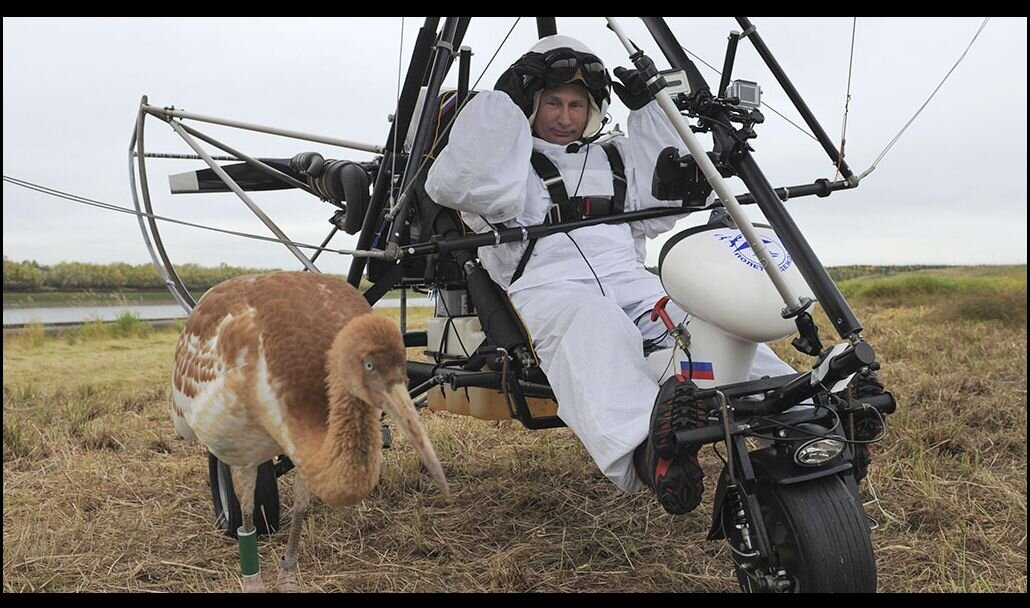 В.В..Путин и пернатый. Фото: Reuters