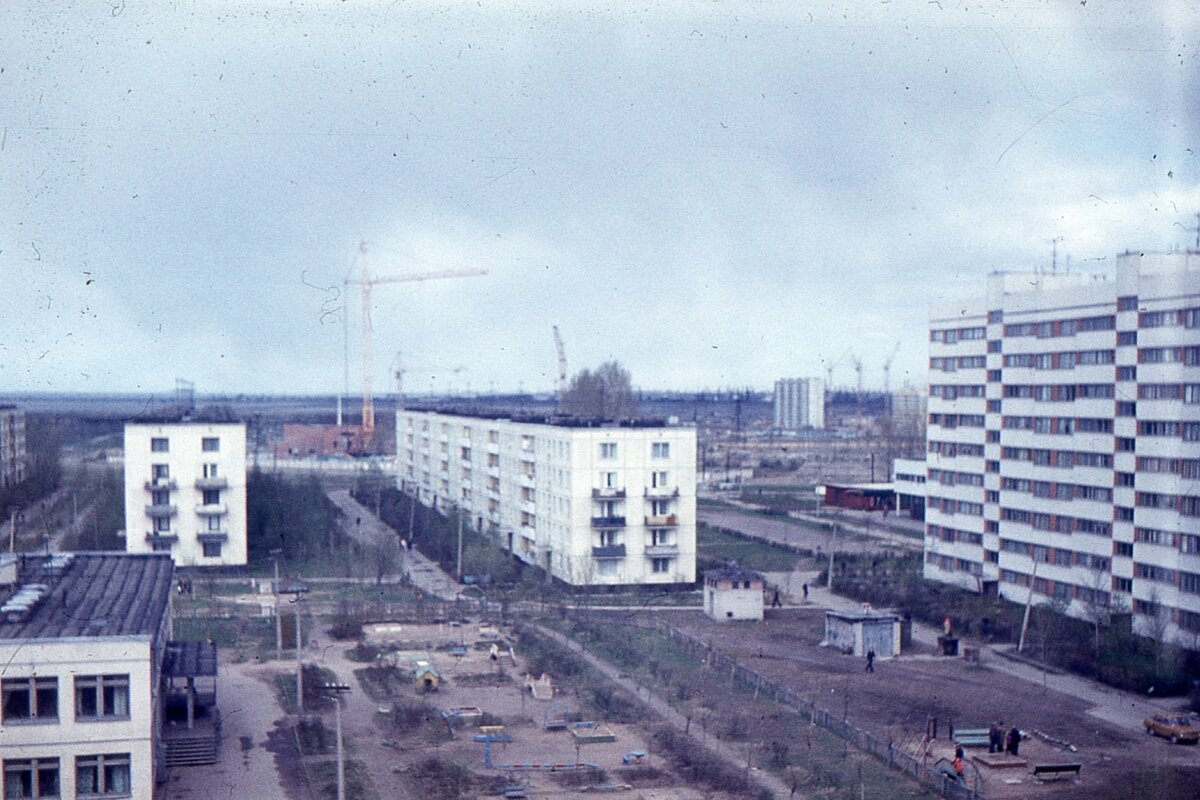 сосновая поляна санкт петербург старые