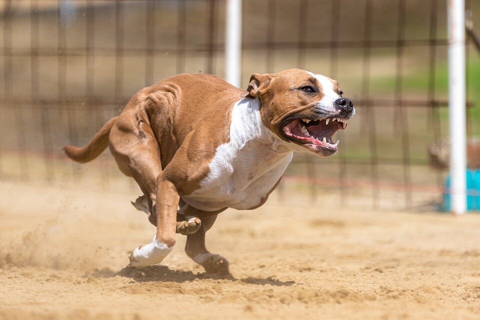 Когда ты поднимаешь иммунитет с помощью спорта