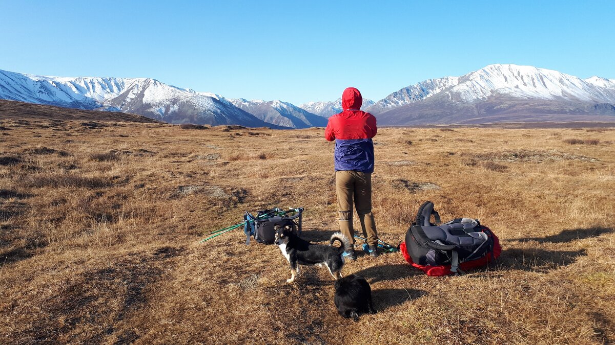 Такой вид открывается с Оройского перевала