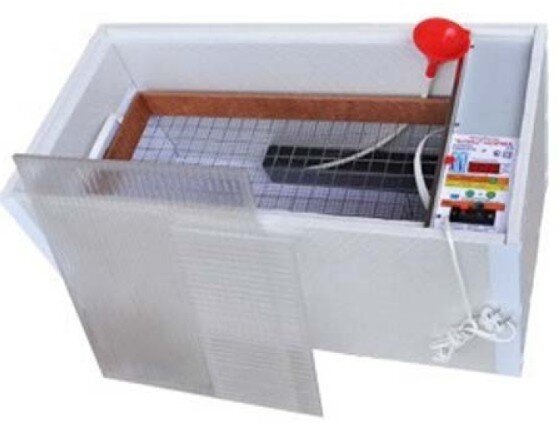 Инкубатор Блиц Норма