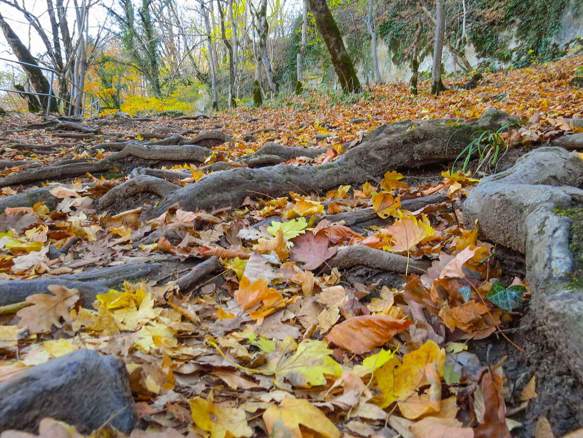 Нижняя тропа к водопадам Руфабго.