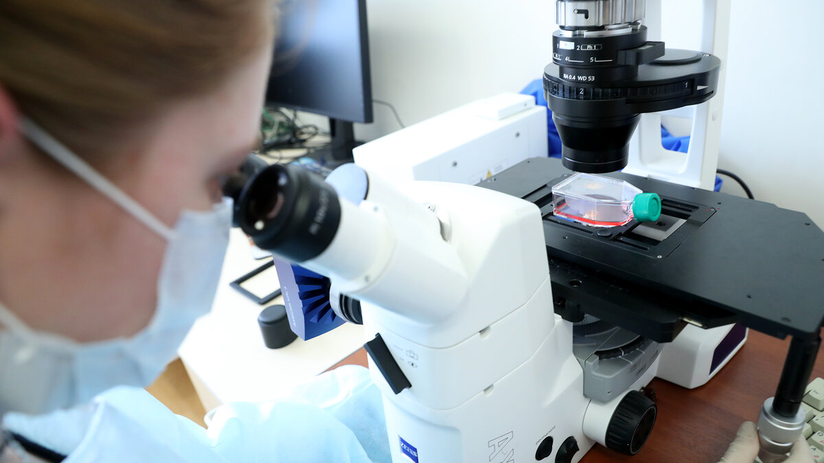 Фото: ИЗВЕСТИЯ/Андрей Эрштрем 