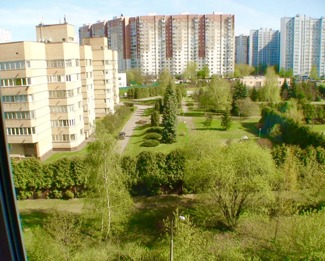 Вид на сад около дома.