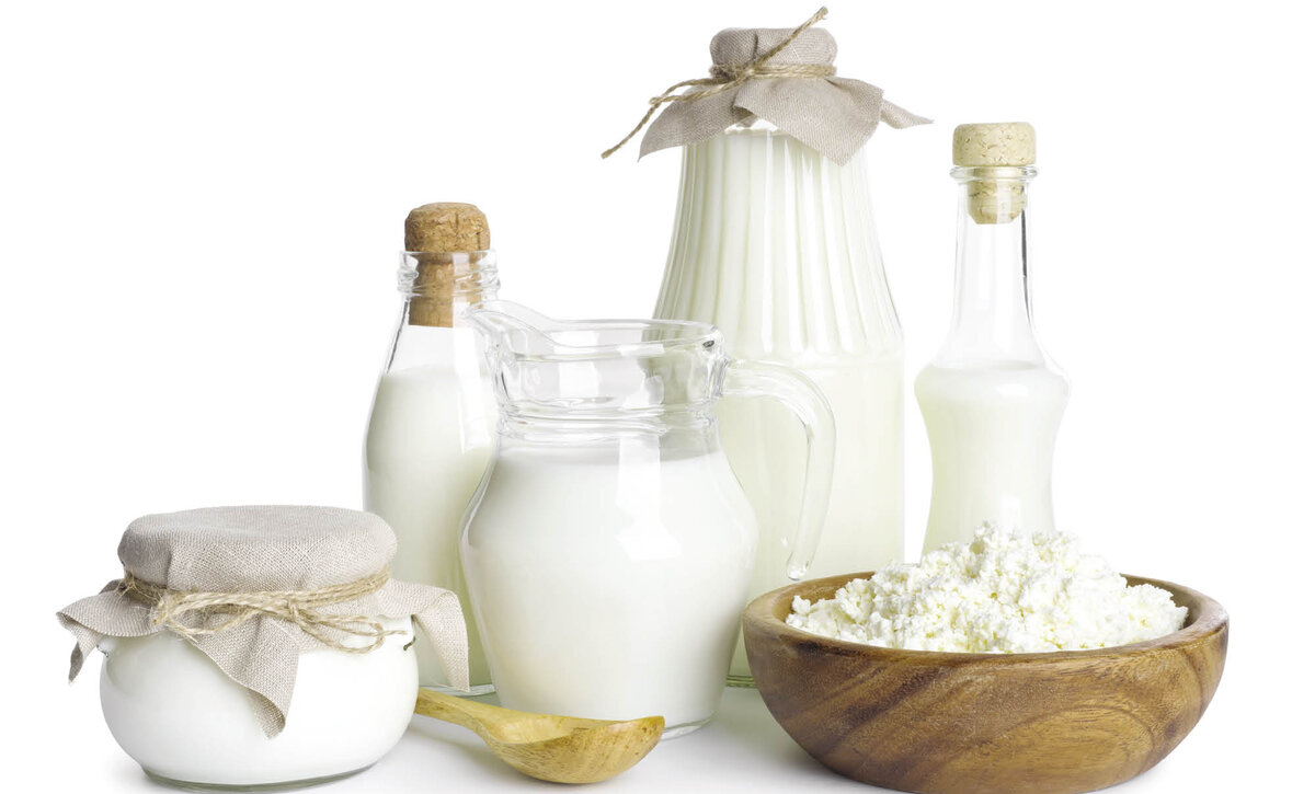 Применение ферментных препаратов в молочной промышленности