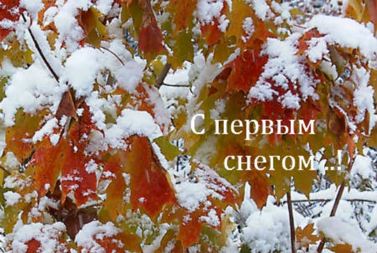 Это мне прислали.