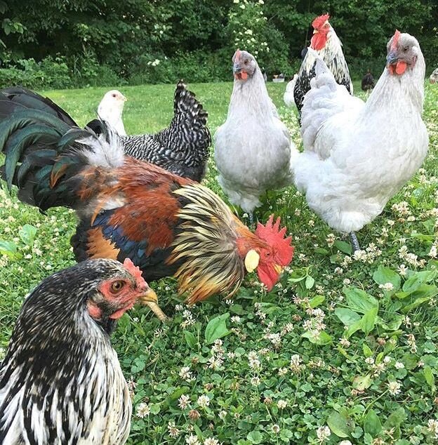 Фото из интернета