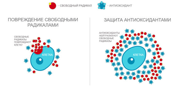Ученые выяснили, что устранить оксидативный стресс эффективно и безопасно можно с помощью молекулярного водорода. Исследования показали, что водород обладает уникальными свойствами, благодаря которым именно он считается сегодня наиболее оптимальным антиоксидантом. Множество научных работ подтверждают преимущества его применения как самого эффективного и безопасного антиоксиданта. 
Почему водород так эффективен?
Благодаря малому размеру молекулы водорода могут проникать через биологические мембраны и подавлять опасные свободные радикалы даже в мозге;
Он помогает доставлять полезные вещества во все клетки нашего организма, нормализуя его функции и обменные процессы;
Водород избирательно устраняет только наиболее опасные оксиданты не оказывая воздействия на полезные свободные радикалы, участвующие в важных для организма обменных процессах;
Водород активирует антиоксидантные системы организма;
Водород обуславливает отрицательный окислительно-восстановительный потенциал среды (ОВП = -500 мВ);
Взаимодействуя с гидроксильными радикалами, водород превращает их в молекулы воды, не образуя никаких побочных продуктов и не вызывая цепных реакций. Этим свойством водорода объясняется отсутствие побочных эффектов и противопоказаний для применения водородной терапии. Таким образом, водород является наилучшим и окончательным антиоксидантом, не дающим побочных эффектов.