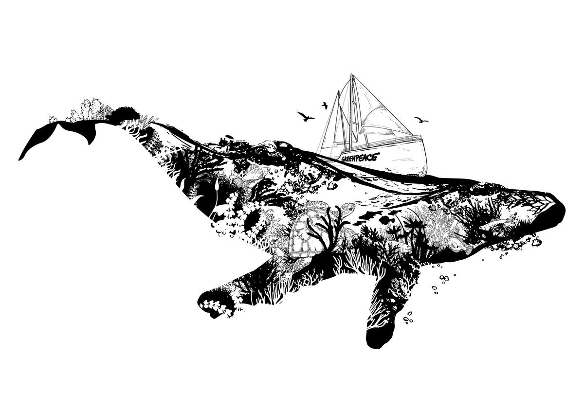 Иллюстрации китов созданы и подарены Джозефом Катимбангом из Pentasticarts.