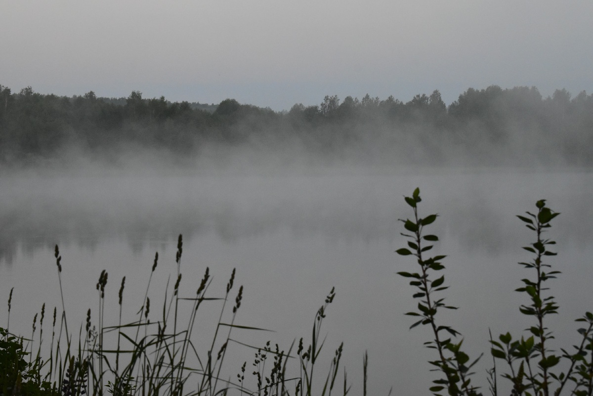                                                                          (личное фото автора)