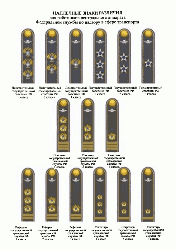 чины государственной гражданской службы рф погоны гостехнадзор