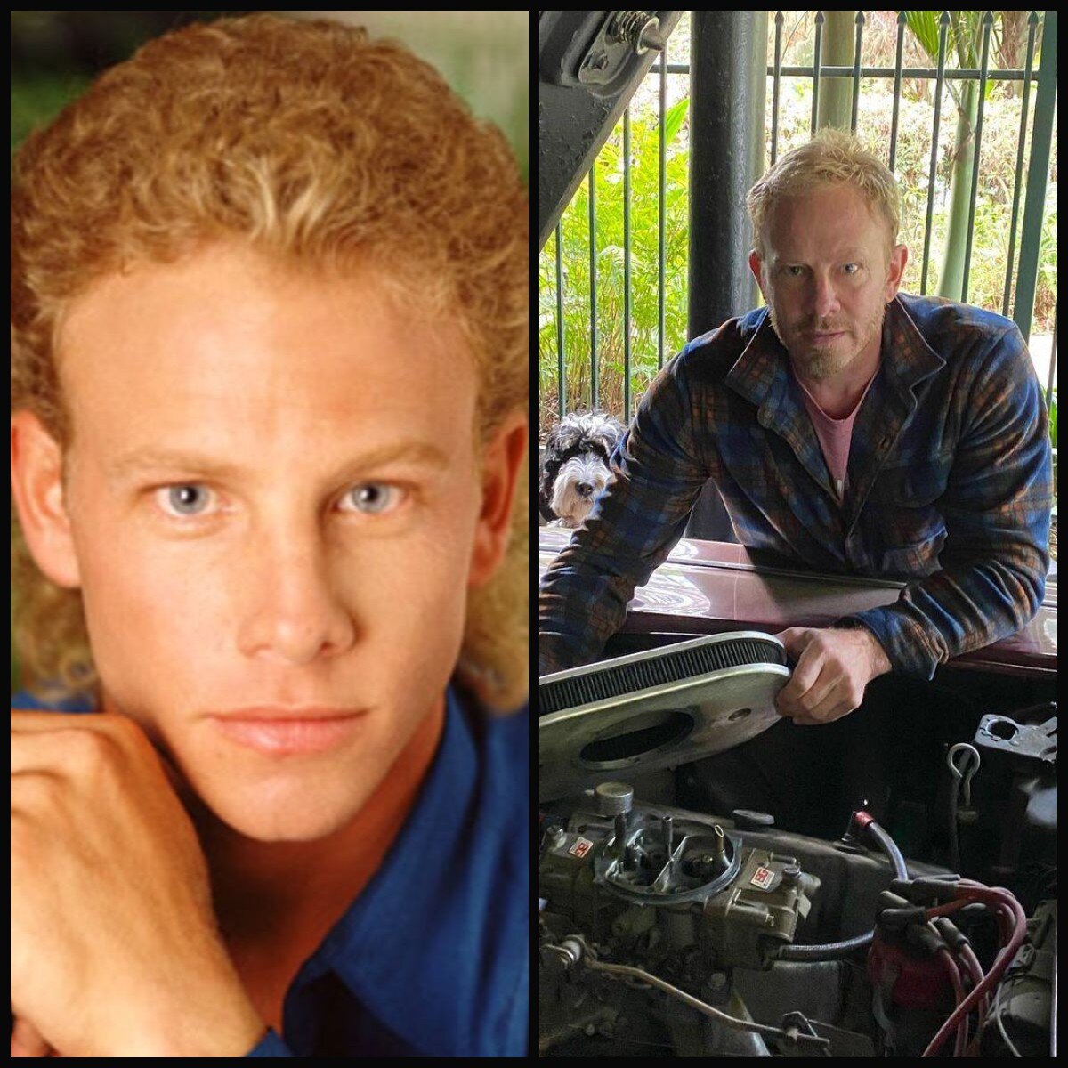 Стив Сандерс