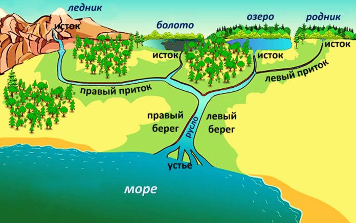Из каких частей состоит река