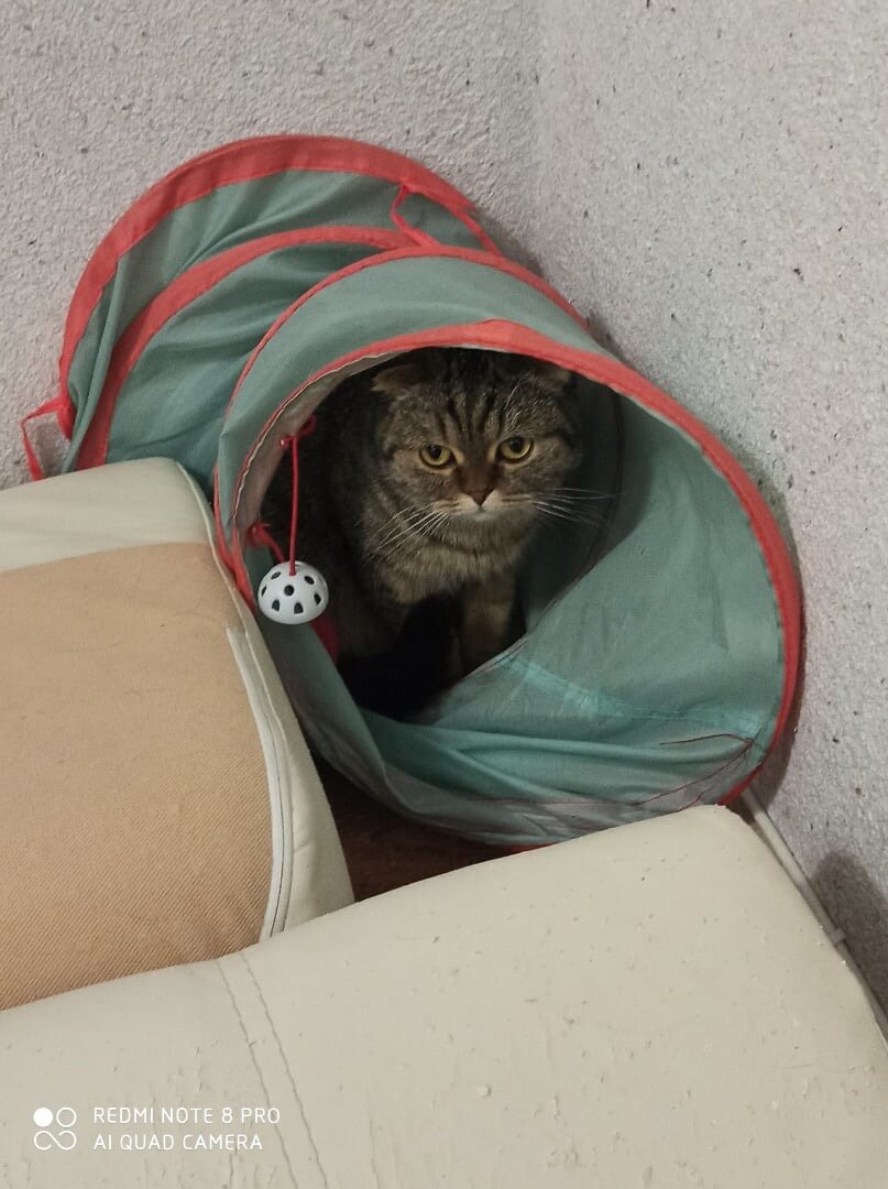 Мася очень веселая 😁 