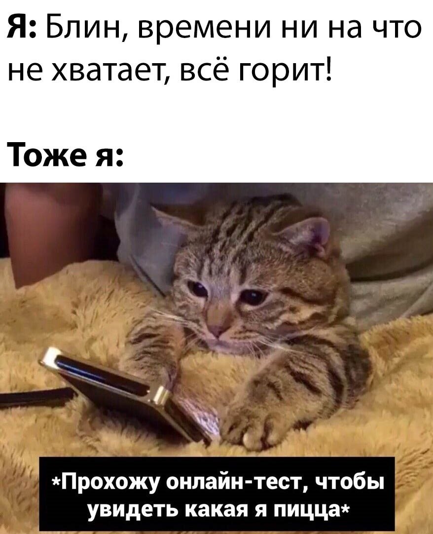 Смешные шутки на ночь