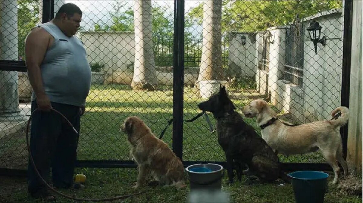 - Что значит - "Куда я деваю ваш "Педигри"? А сами-то как думаете? 